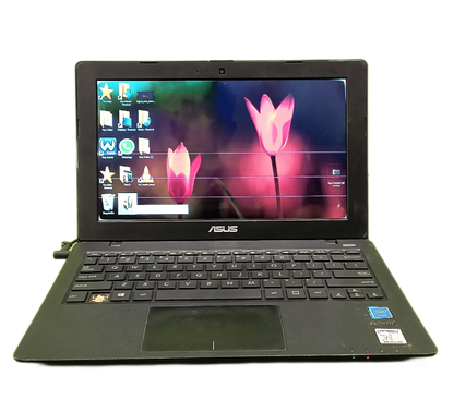 Asus F200m