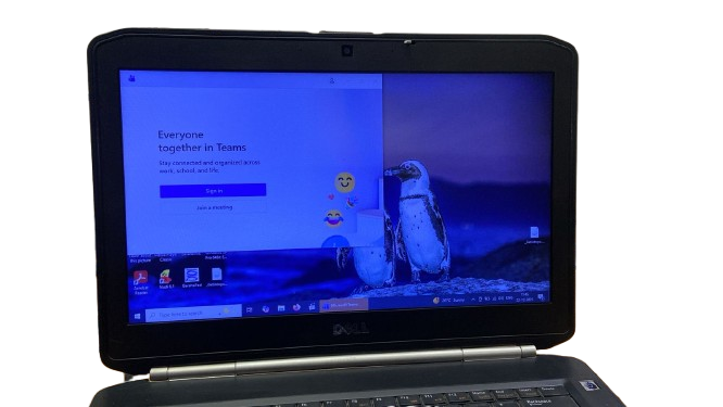 Dell Latitude E5420 f09swq1 (S-259)