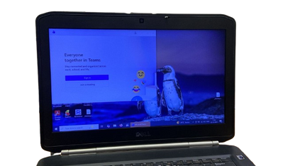 Sony PCG-71313W  (S-229)