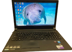 Lenovo B50-70 (S-241)