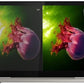 Lenovo THINKPAD X1 Titanium Yoga GEN 1, Intel CORE I7-1180G7 VPRO (2.20GHZ, 12MB) 13.5